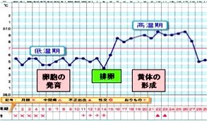 第十五回 生理前の強い眠気について 不妊治療 不妊専門 田村秀子婦人科医院